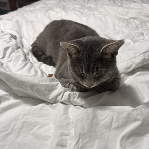 Fundraising Page: Jennifer KIMMEY